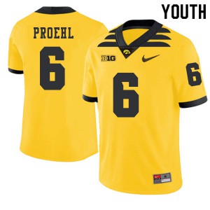 #6 Josh Proehl Iowa Youth 2019 Alternate University Jerseys Gold