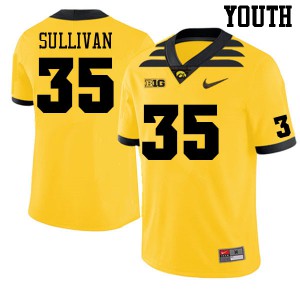 #35 Justice Sullivan Iowa Youth Official Jerseys Gold