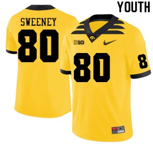 #80 Brennan Sweeney Iowa Hawkeyes Youth University Jerseys Gold