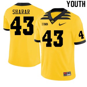 #43 Karson Sharar Iowa Hawkeyes Youth Stitched Jersey Gold